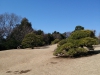 2015-02-14-12-33-48